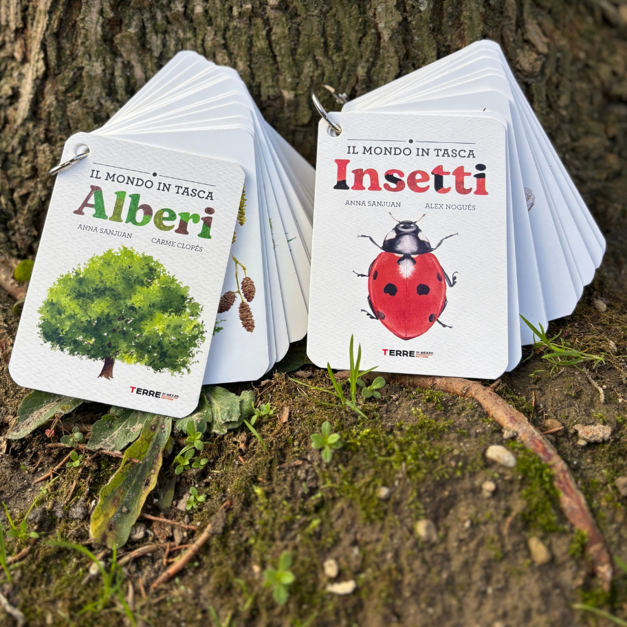 Terre di Mezzo Il mondo in tasca Insetti libro 44 pagine