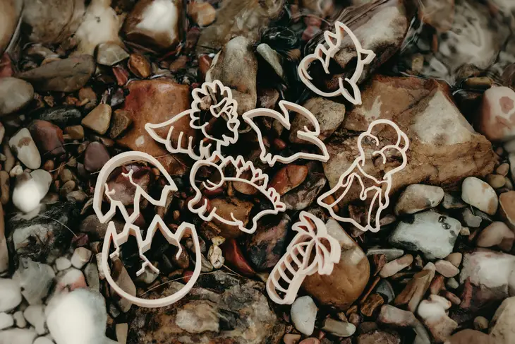 Kinfolk & Co Eco Cutter Mini Dino formine 8 pezzi biodegradabili