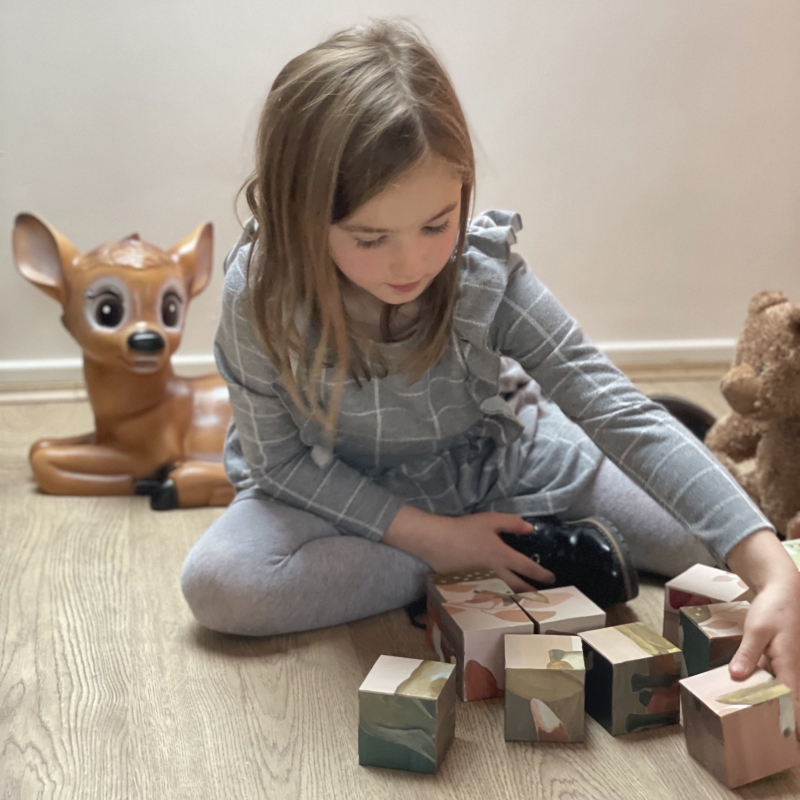 Egmont Toys Forest puzzle 9 cubi cartone animali dai 3 anni