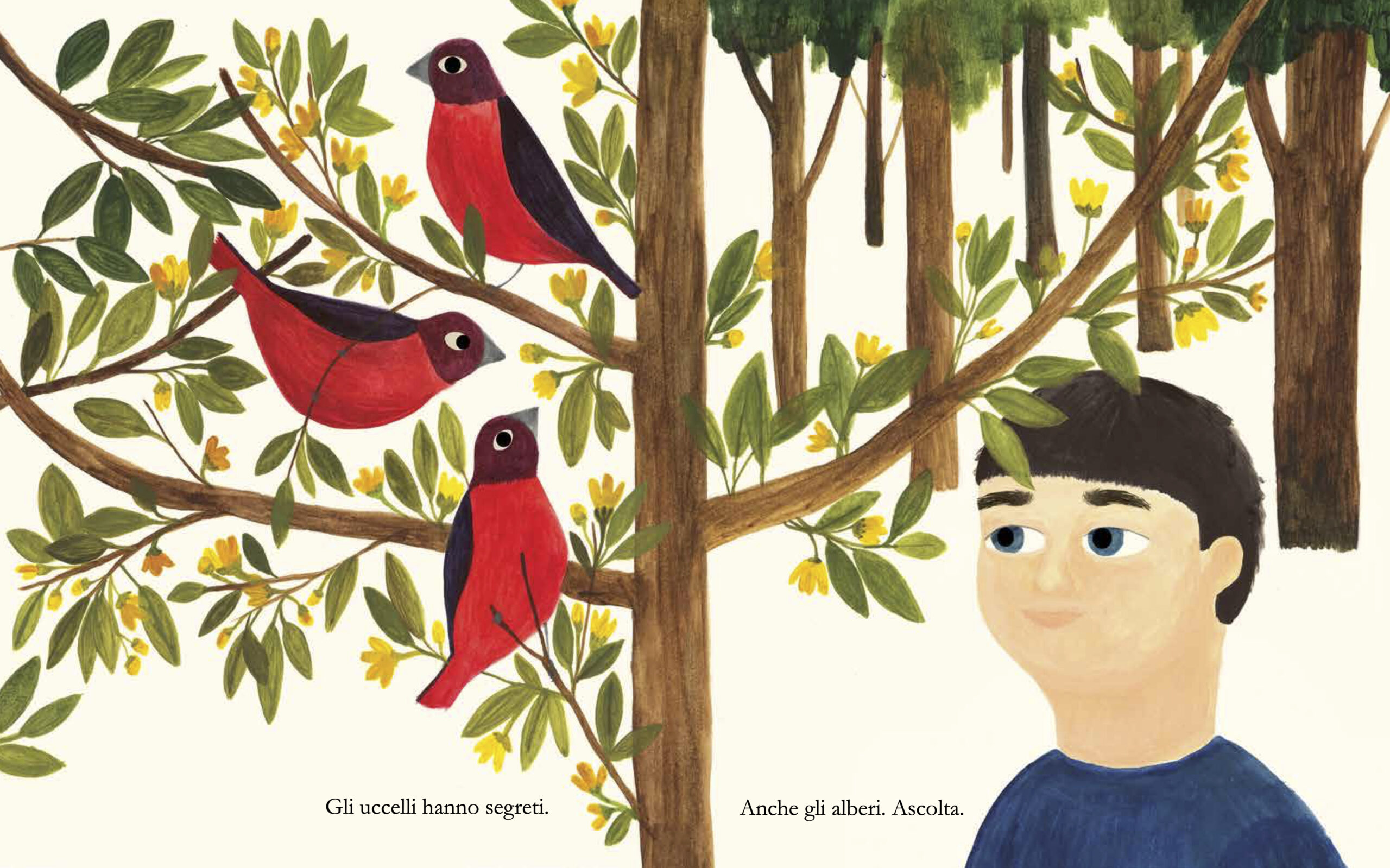 AnimaMundi Camminando nel bosco libro illustrato acquerelli