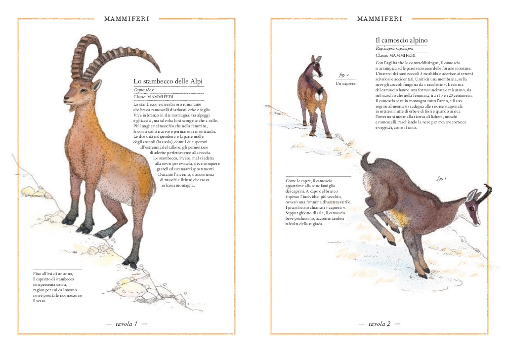 L’Ippocampo Inventario Illustrato della Montagna libro 6-9 anni