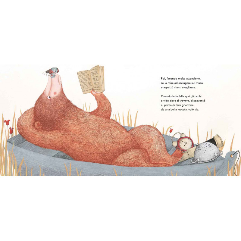 Orso acchiappafarfalle libro illustrato bontà e amicizia