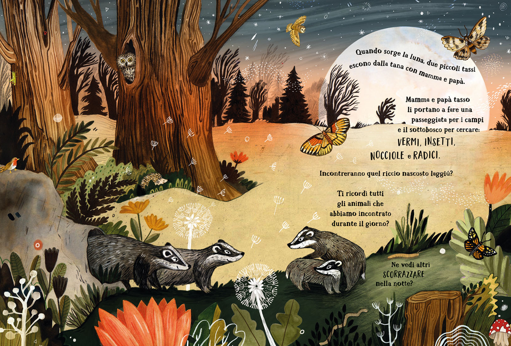 Emme Edizioni Il Bosco Segreto libro bambini 5 anni
