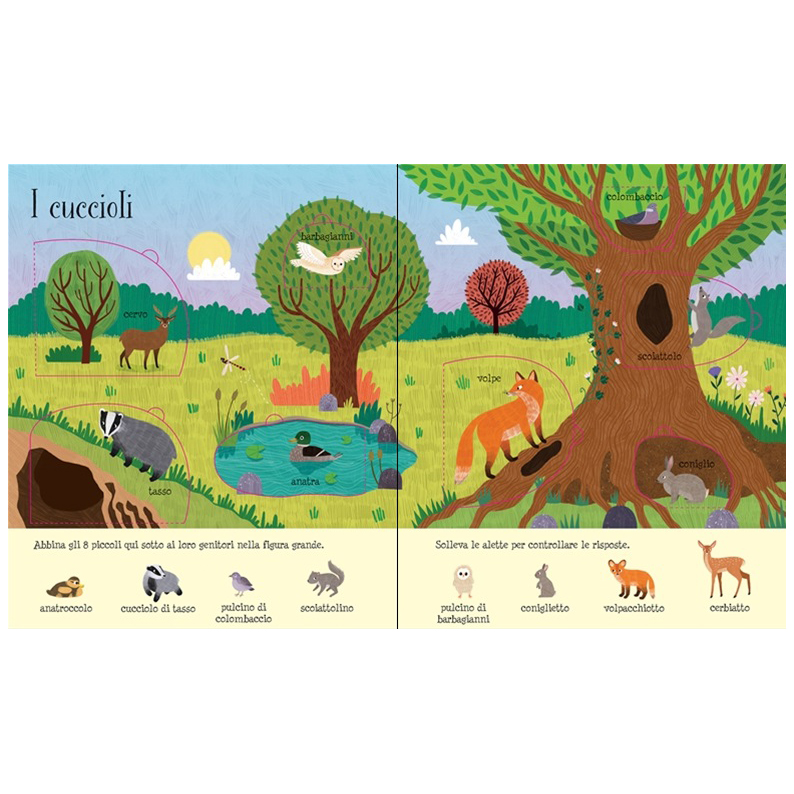 La natura libro con alette bambini 80 alette rigido