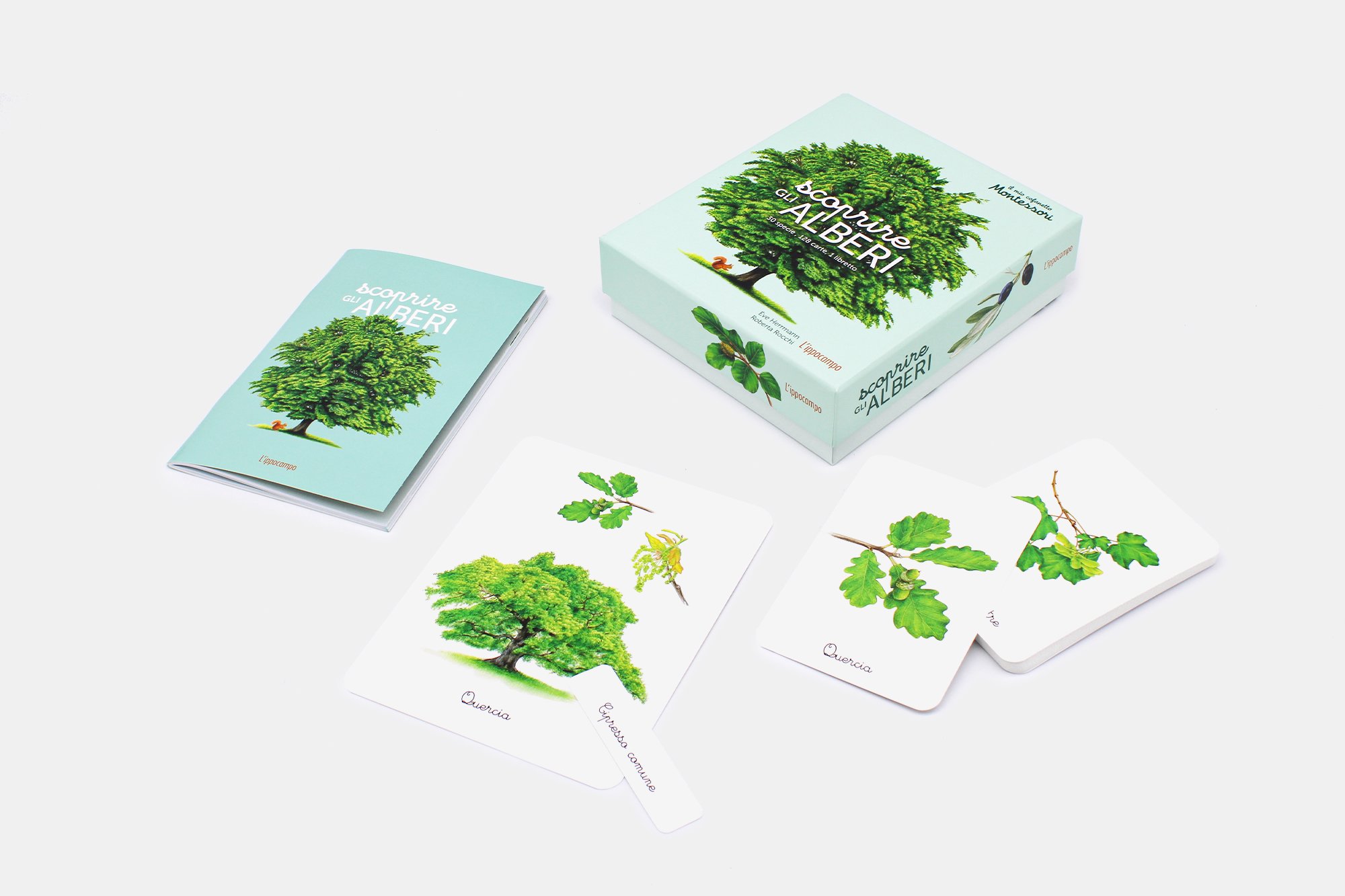L'Ippocampo Montessori cofanetto Scoprire gli alberi