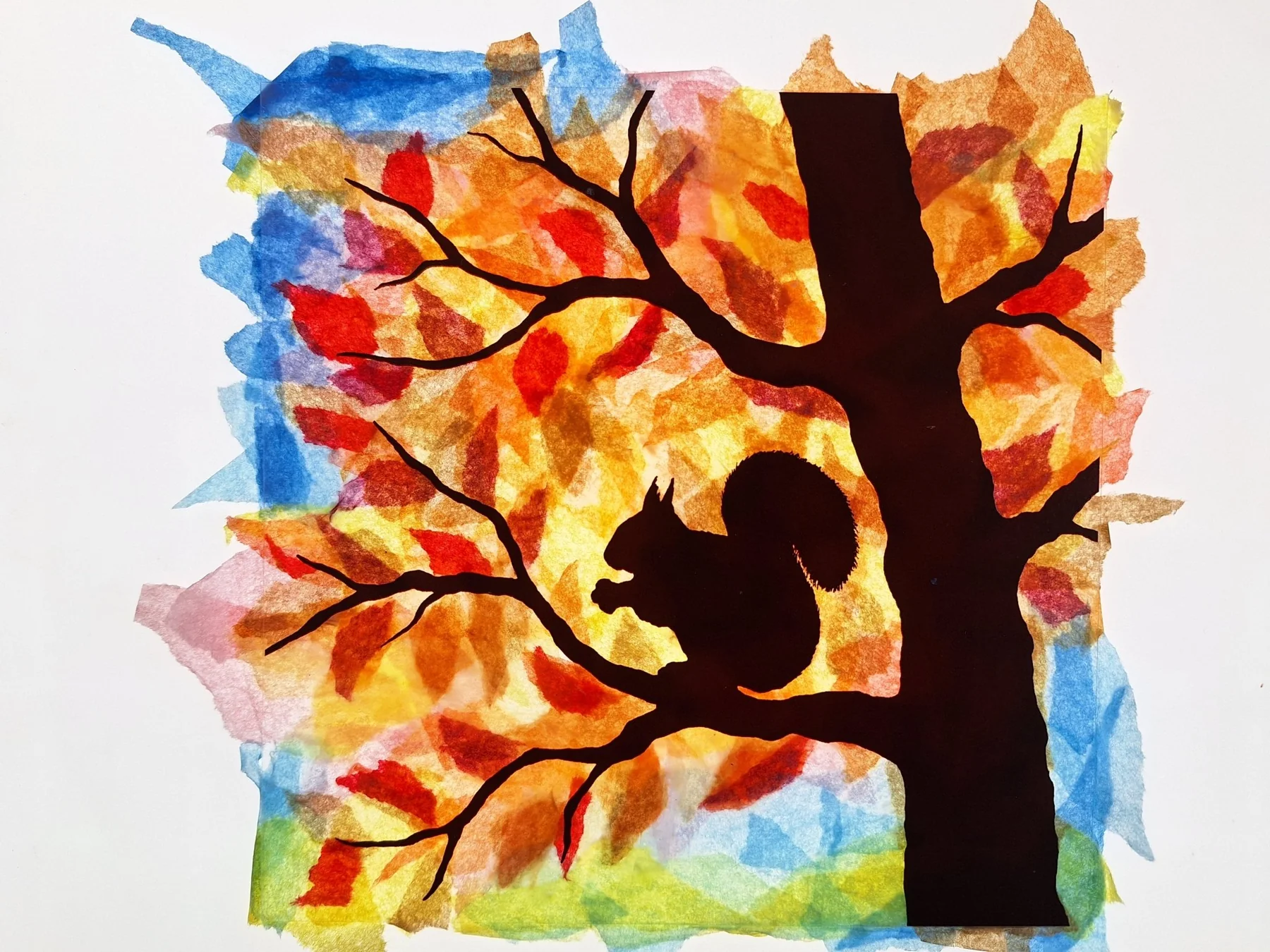 Toverlux Squirrel set artistico crea trasparenza
