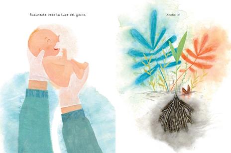 Lapis Io albero, io bambino libro illustrato 48 pagine