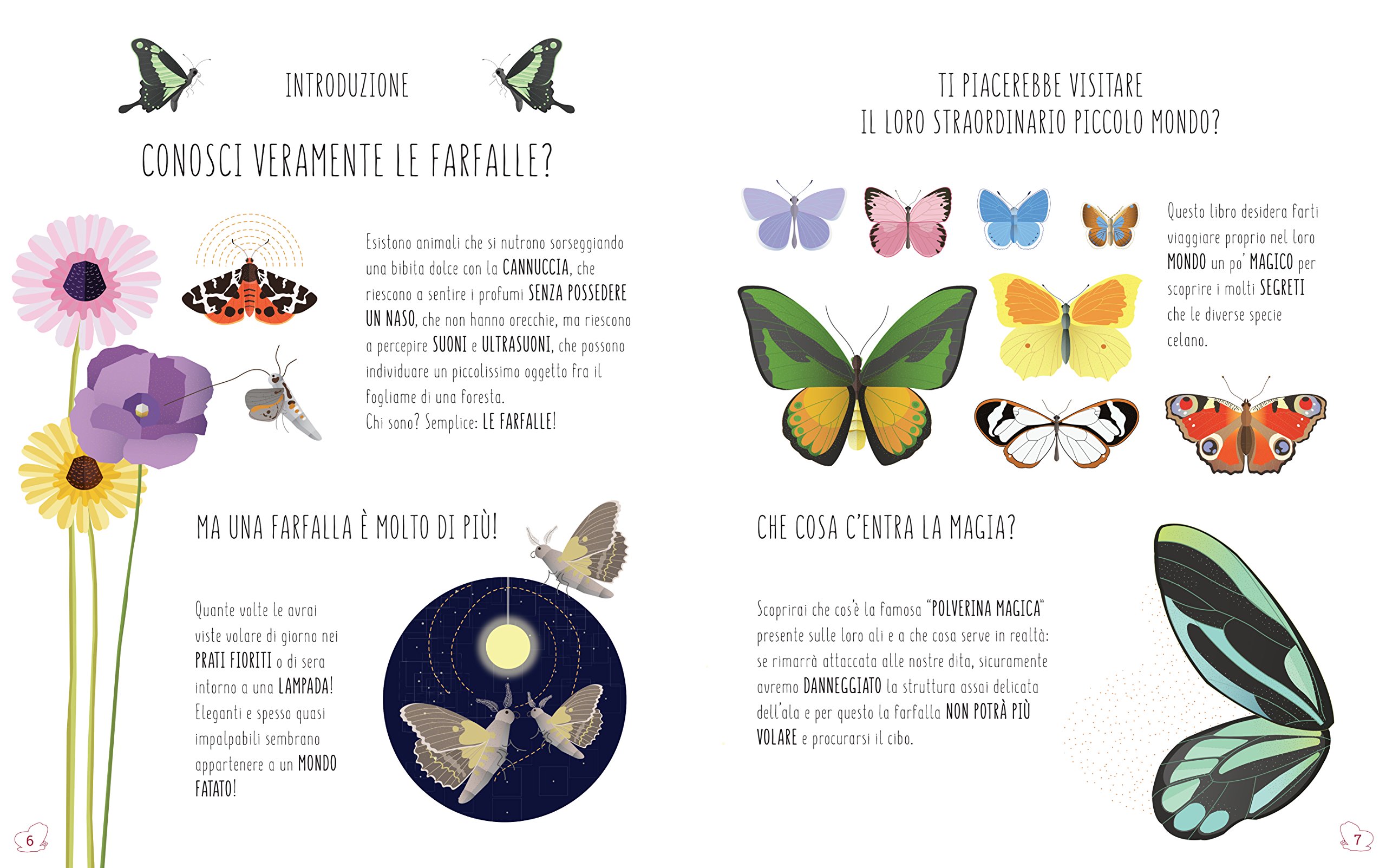 White Star Il mondo delle farfalle libro cartonato con alette