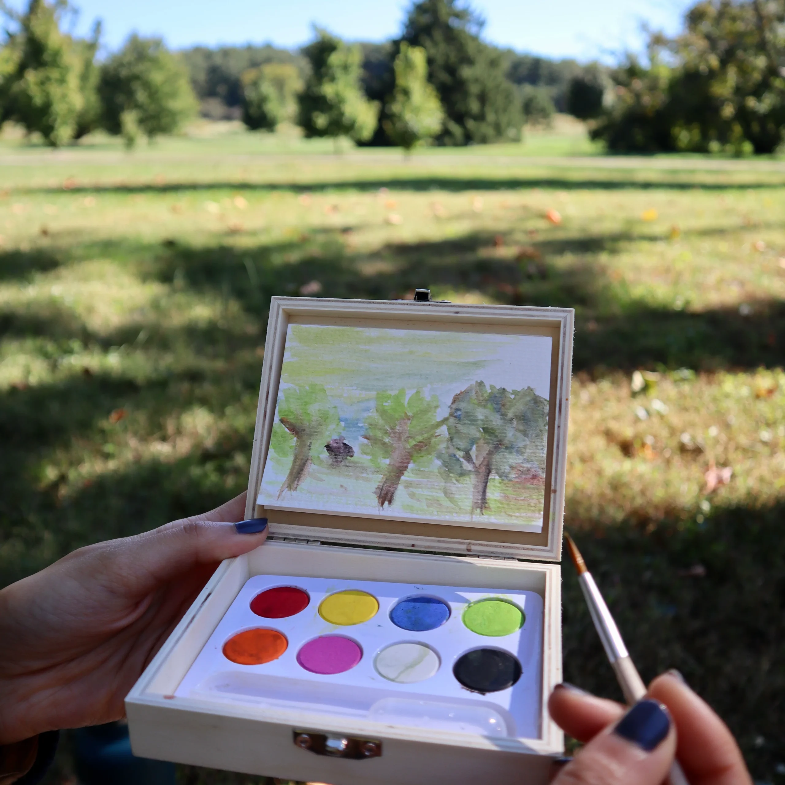 Huckleberry Landscape kit acquerelli viaggio 8 colori tascabile