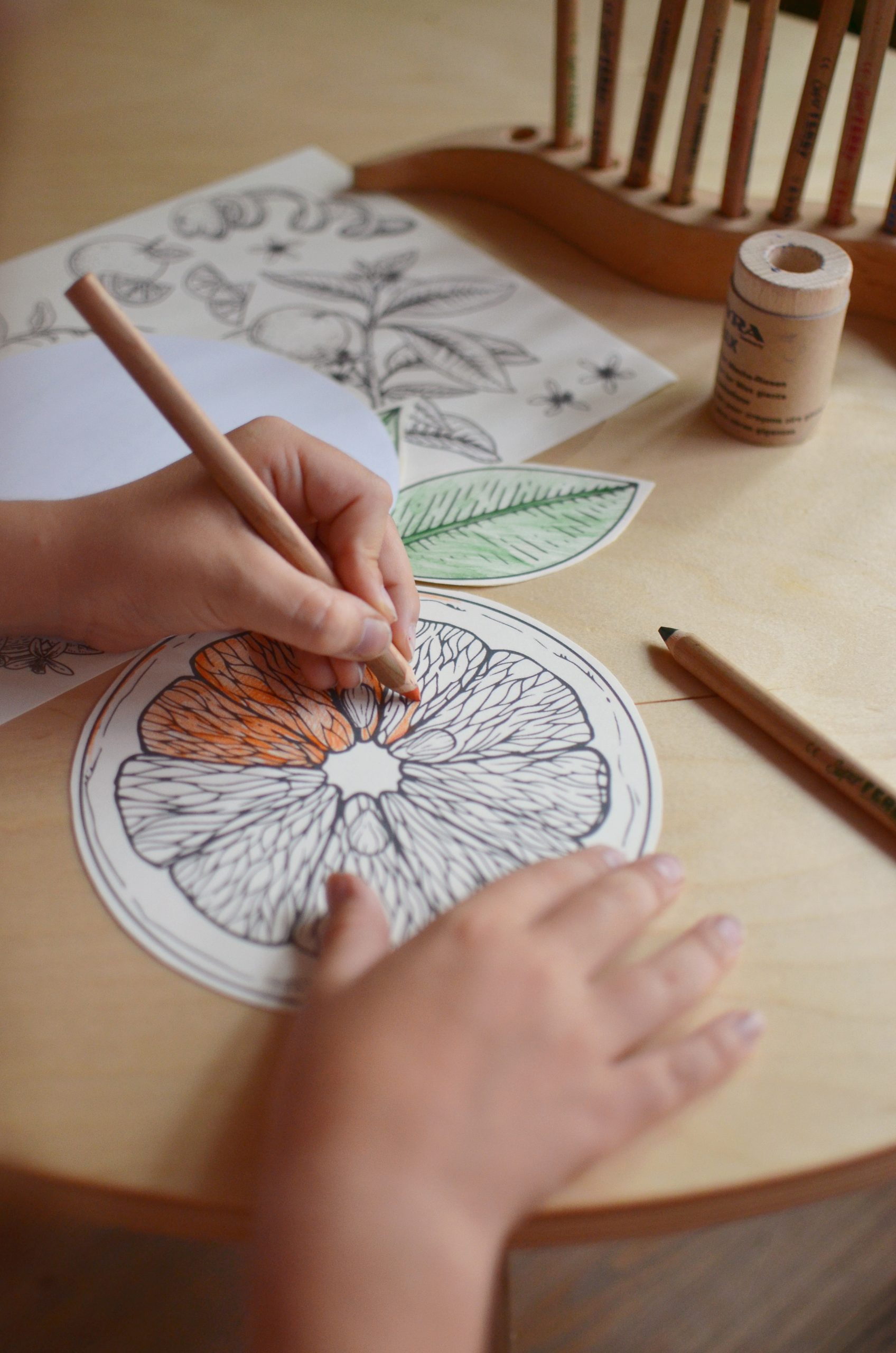 PlayKitBaboo L'uovo di Sole kit creativo luglio con libro