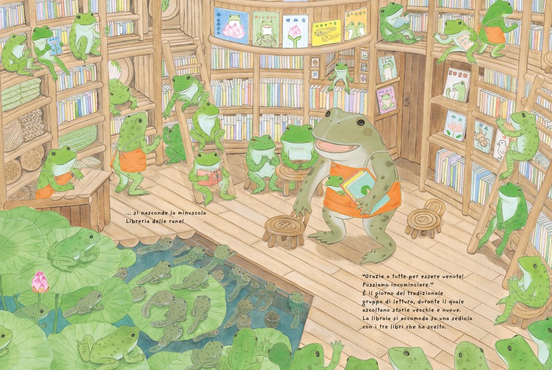 L'Ippocampo La Libreria delle Rane Libro dai 6 anni