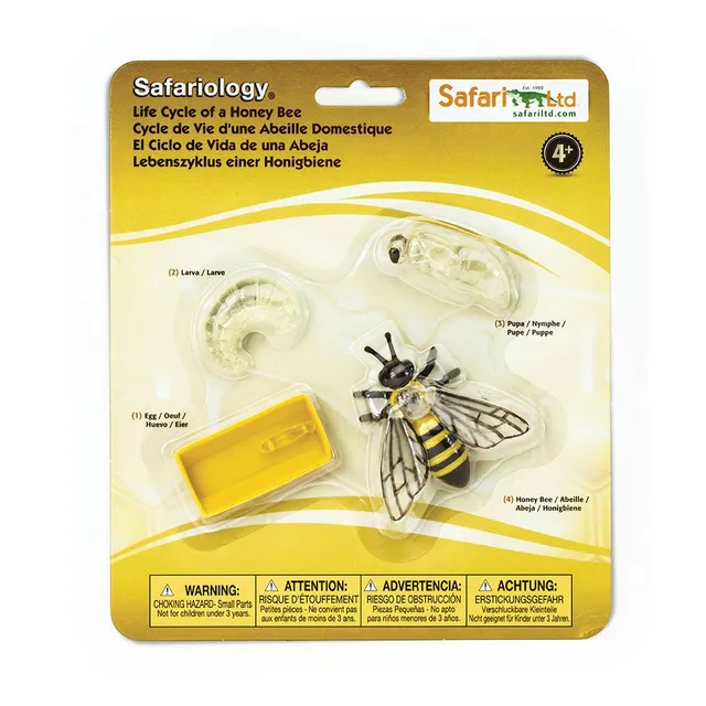 Safari Ltd Safariology ciclo vita ape set 4 figure educative