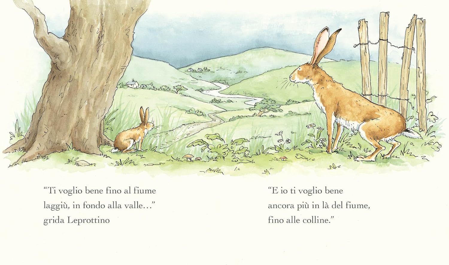 Nord-Sud Indovina quanto bene ti voglio libro rigido 3 anni