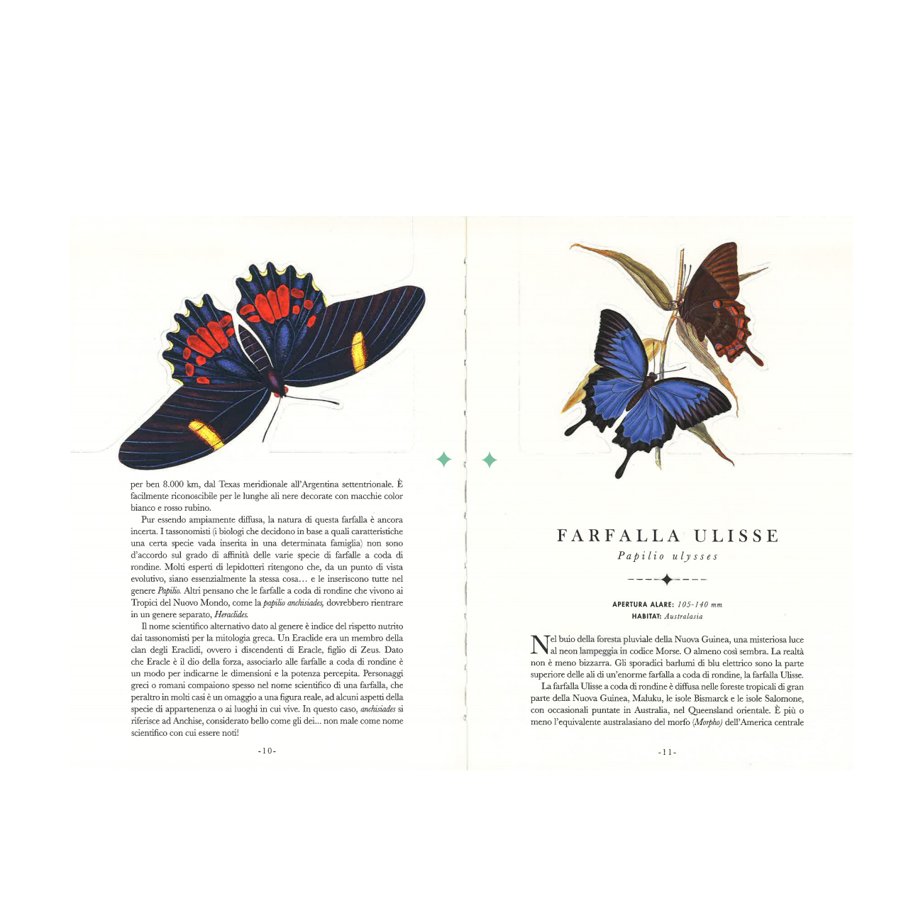 Il Castello Le farfalle libro illustrato 110 pagine