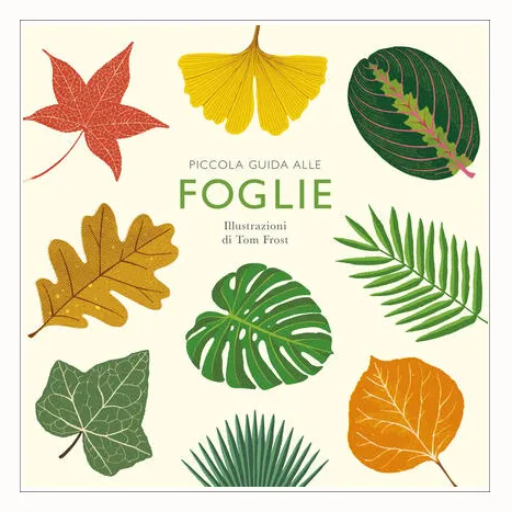 Nomos Piccola guida foglie libro bambini 96 pagine