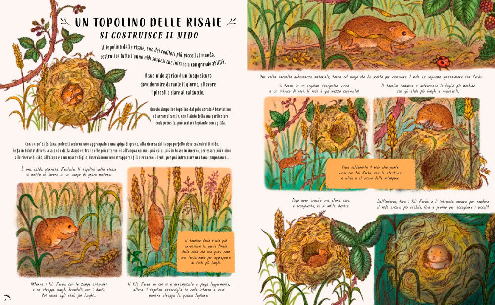 Giunti Piano Piano nel Piccolo Mondo libro 64 pagine da 4 anni