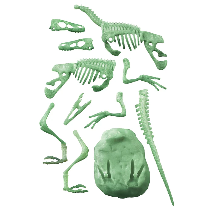 Clementoni Archeogiocando Velociraptor kit scavo scheletro fosforescente