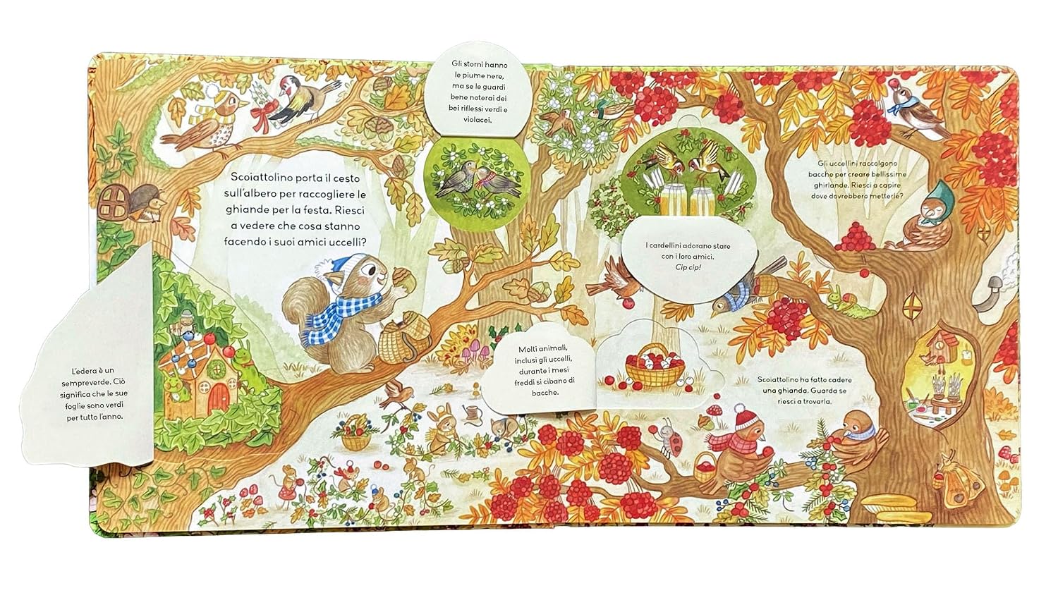 Emme Edizioni Amici della Foresta libro con alette