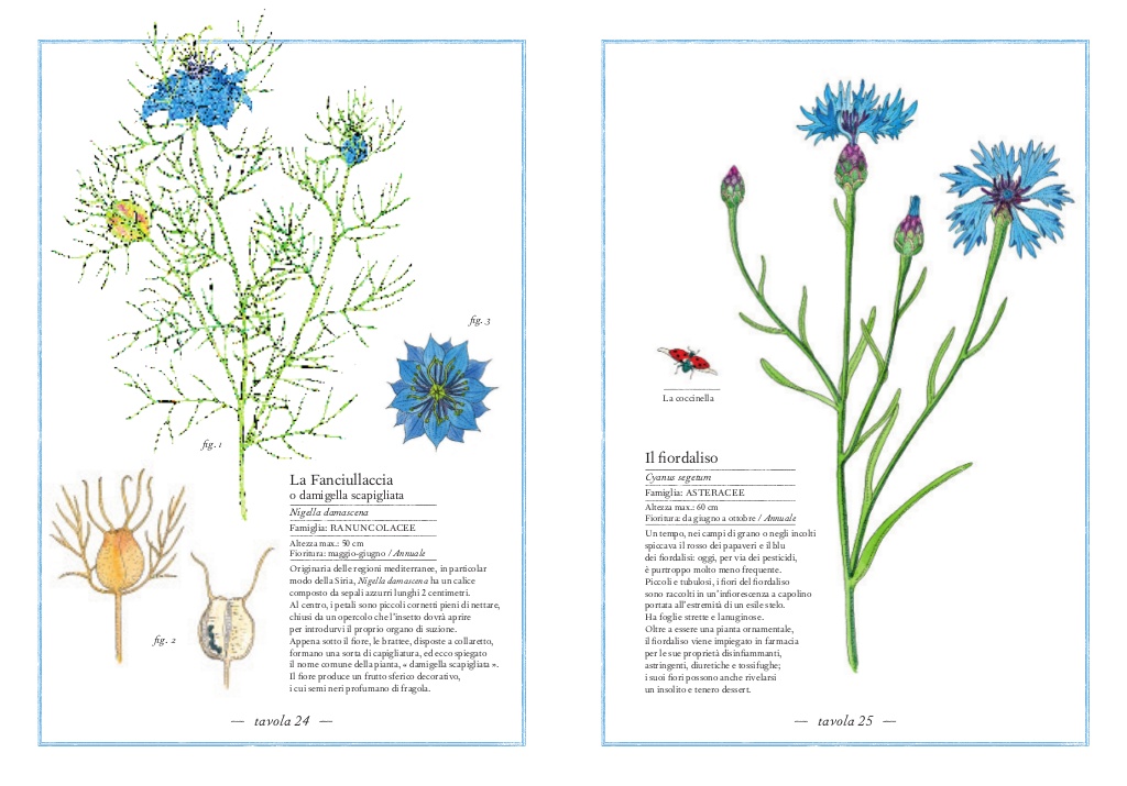 L'Ippocampo Inventario illustrato fiori libro cartonato