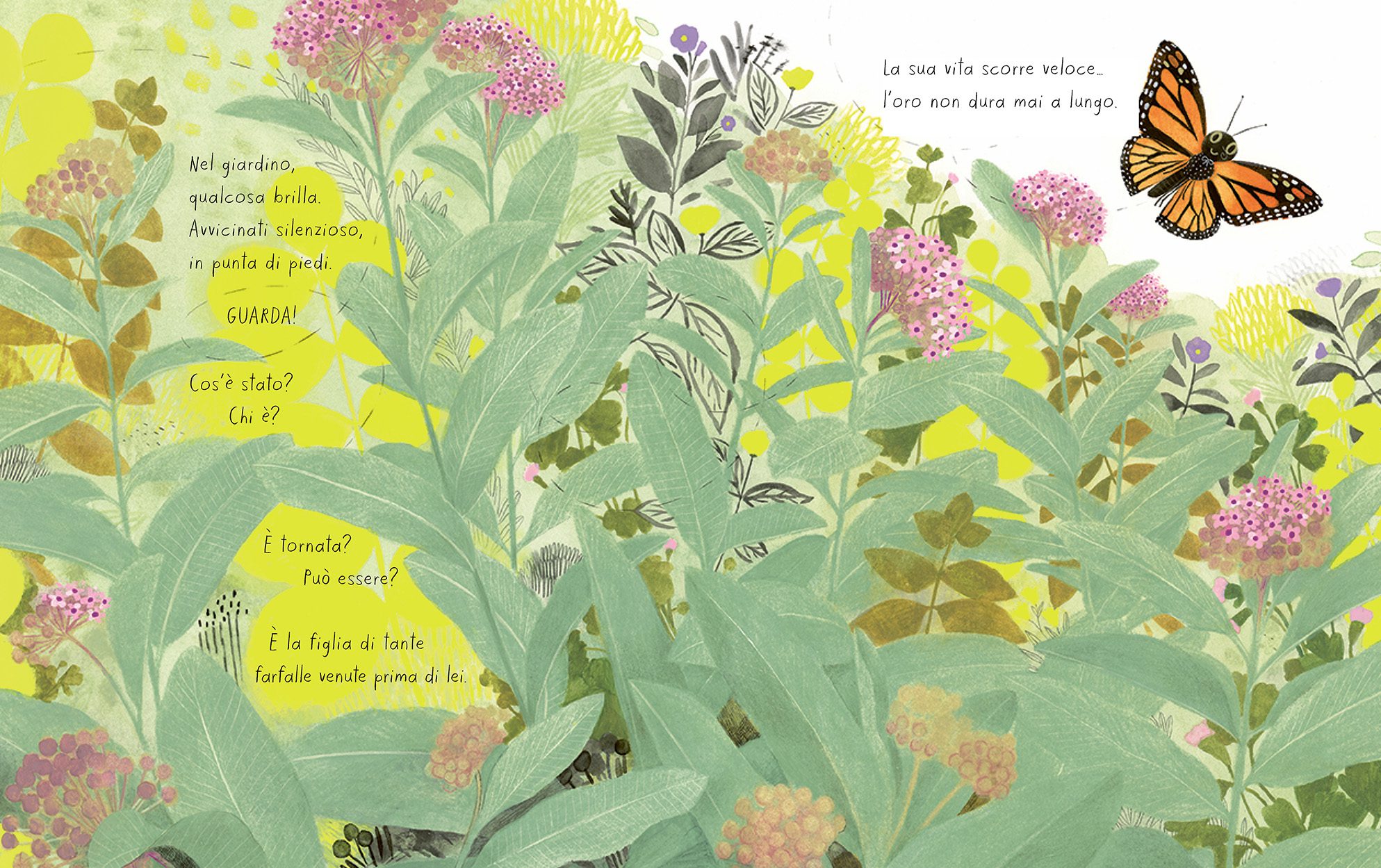 Vita da Farfalla Terre di Mezzo Albo Illustrato 48 Pagine