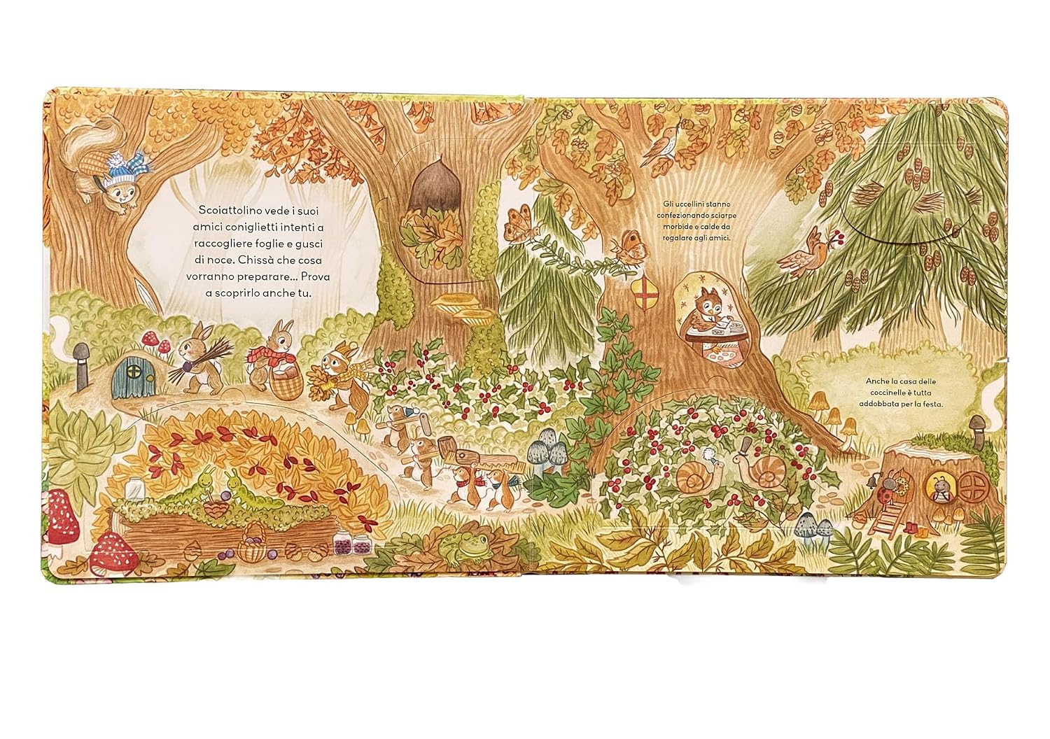 Emme Edizioni Amici della Foresta libro con alette