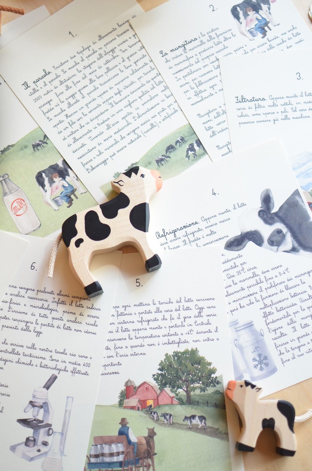 PlayKitBaboo Viaggio del Latte Kit Gioco con Libro