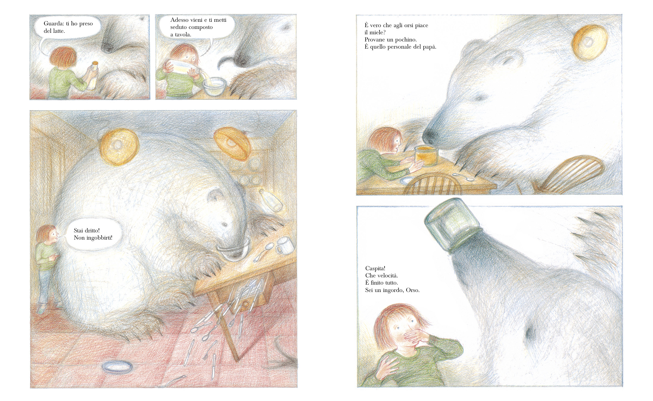 Camelozampa L’Orso albo illustrato Briggs