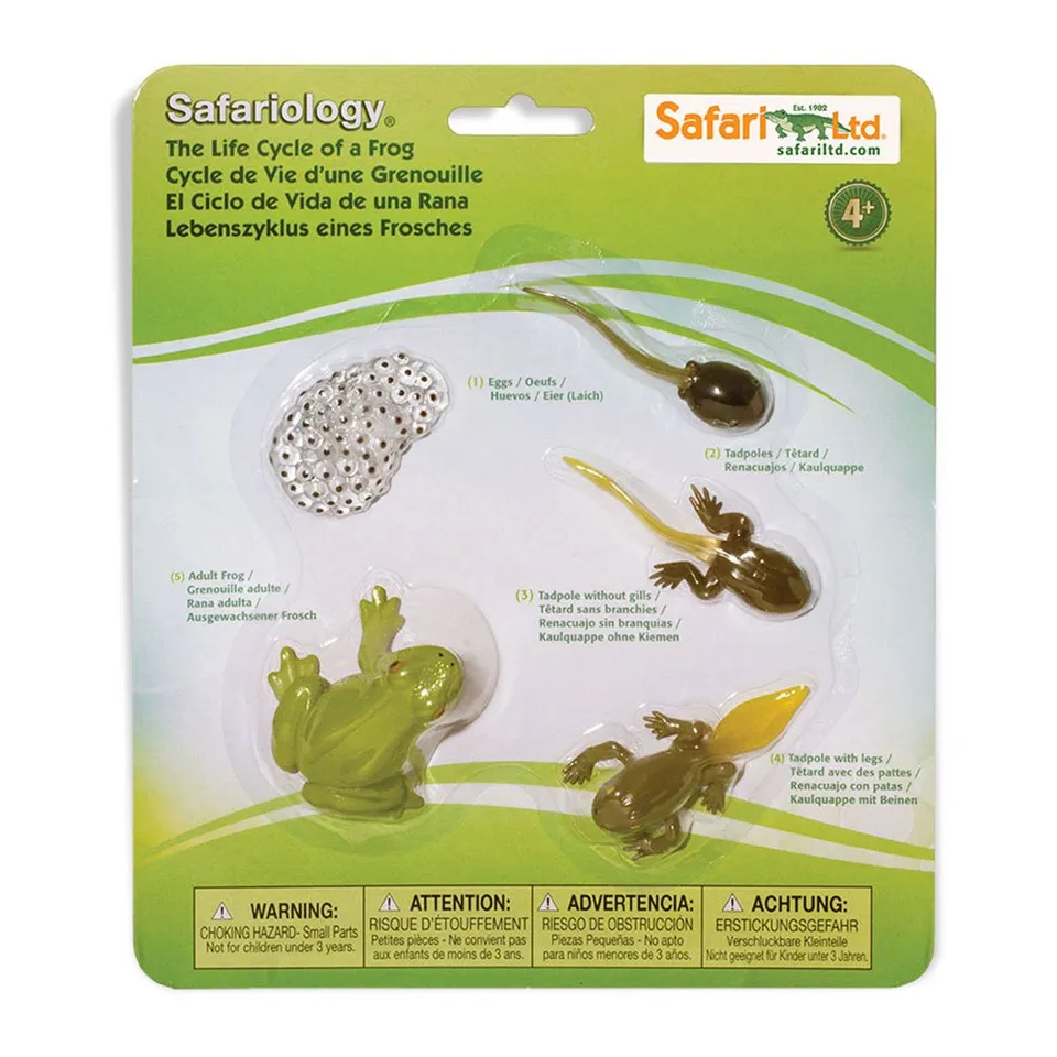 Safari Ltd Safariology ciclo rana figure 4 pezzi