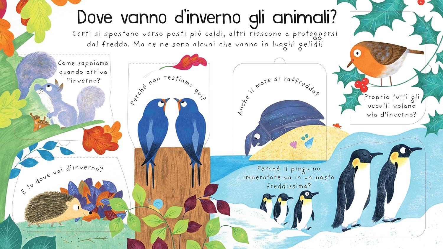 Usborne Dove vanno d’inverno gli animali? libro con alette