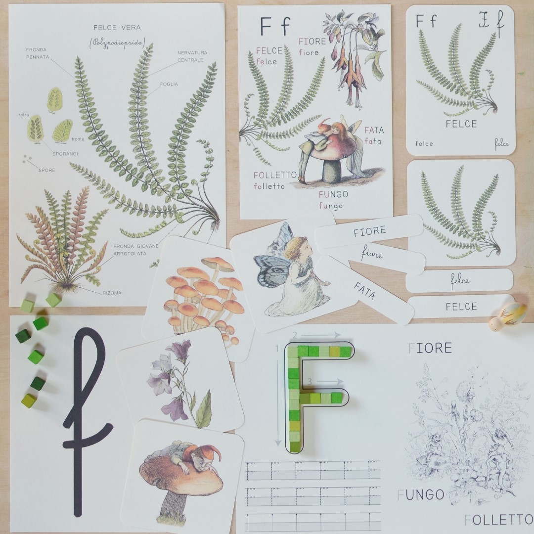 Baboo Abecedario Lettera F Felce PDF schede 4 anni
