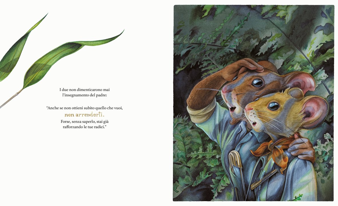 L'Ippocampo La felce e il bambù libro 3-6 anni