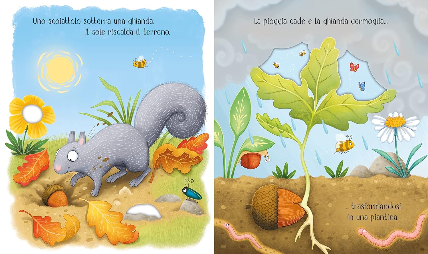 Usborne Il ciclo della vita L’albero libro con adesivi dai 3 anni