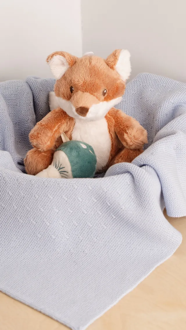 Babyhood coperta neonato azzurra lana merino