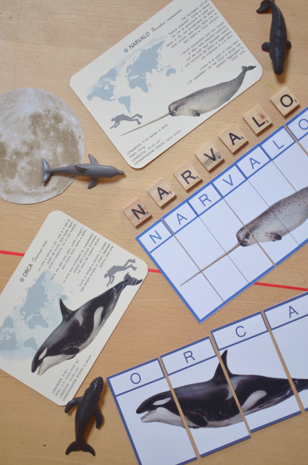 PlayKitBaboo La forma del mare kit collage e playdough