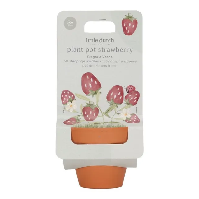 Little Dutch vasetto fragole kit giardinaggio bimbi