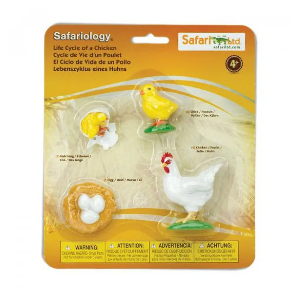 Safari Ltd ciclo vita pollo set 4 figure educative