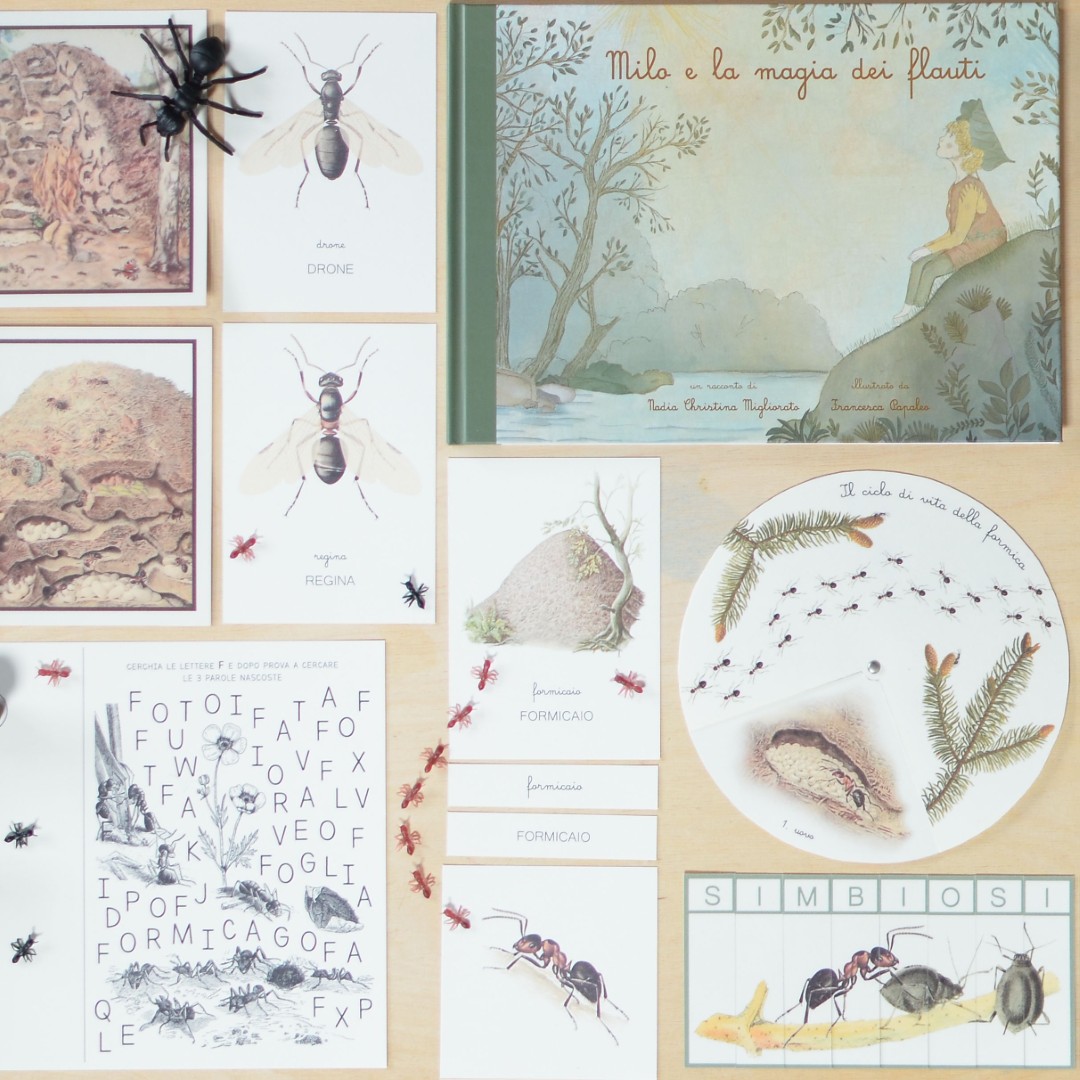 PlayKitBaboo Milo e la magia dei flauti kit creativo completo