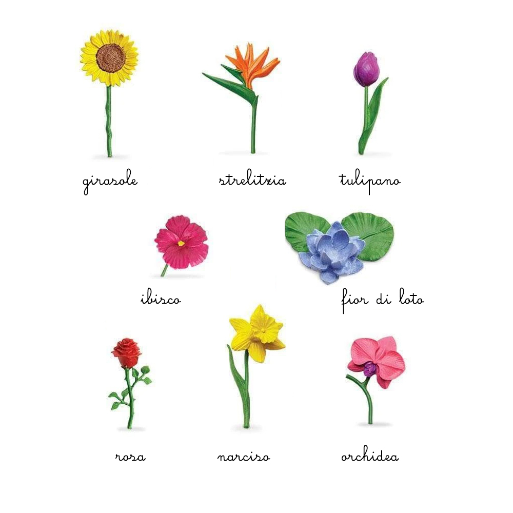 Safari Ltd Toob Fiori set 8 miniature con nomenclature