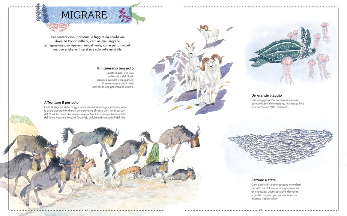 L’Ippocampo Vivere libro animali 104 pagine dai 6 anni