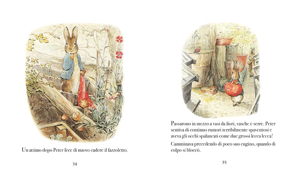 Beatrix Potter Peter Coniglio Libro 152 Pagine da 3 Anni