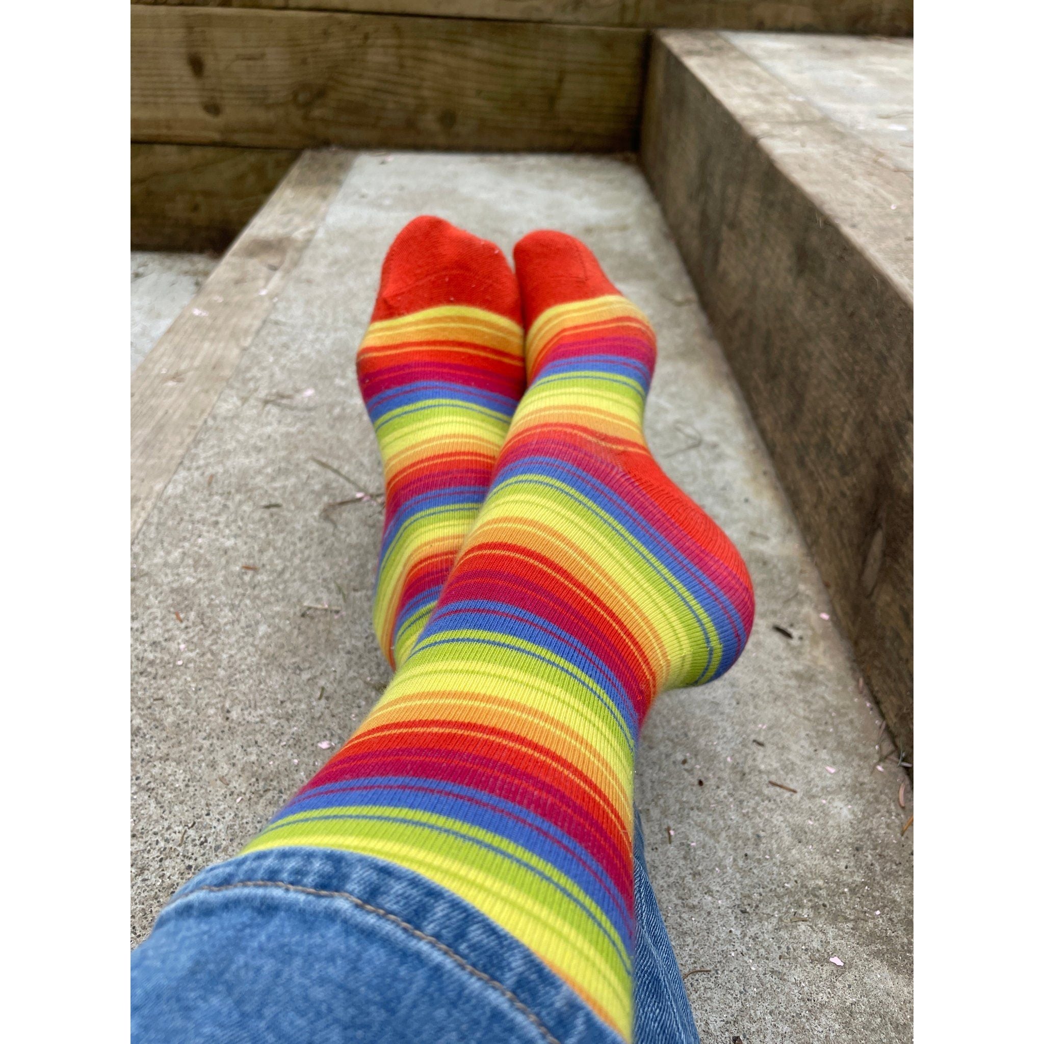 Slugs & Snails Rainbow Stripe calze alte adulto cotone bio