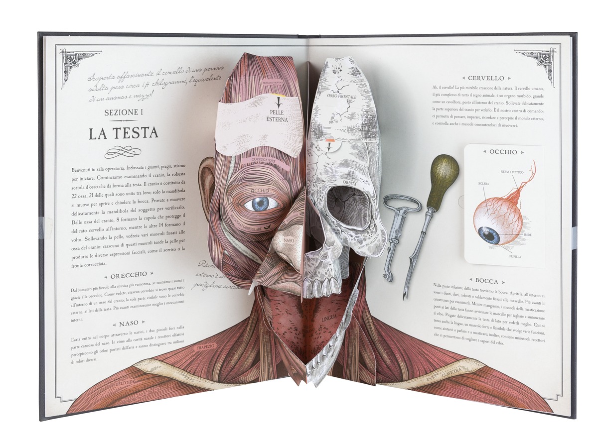 IdeeAli Corpo Umano guida pop-up anatomia bambini 5+ anni