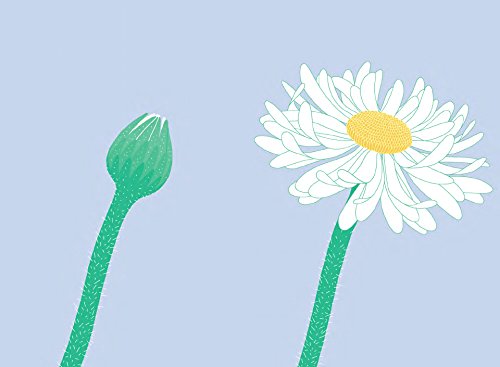 L’Ippocampo Prima Dopo libro illustrato senza parole