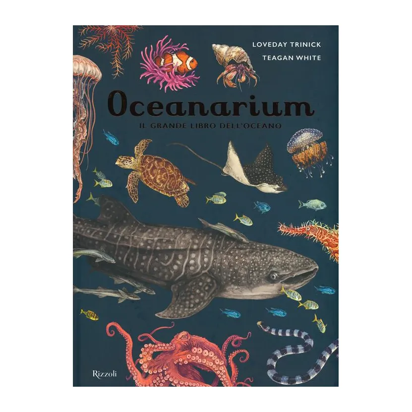 Rizzoli Oceanarium Il grande libro dell'oceano libro 8 anni