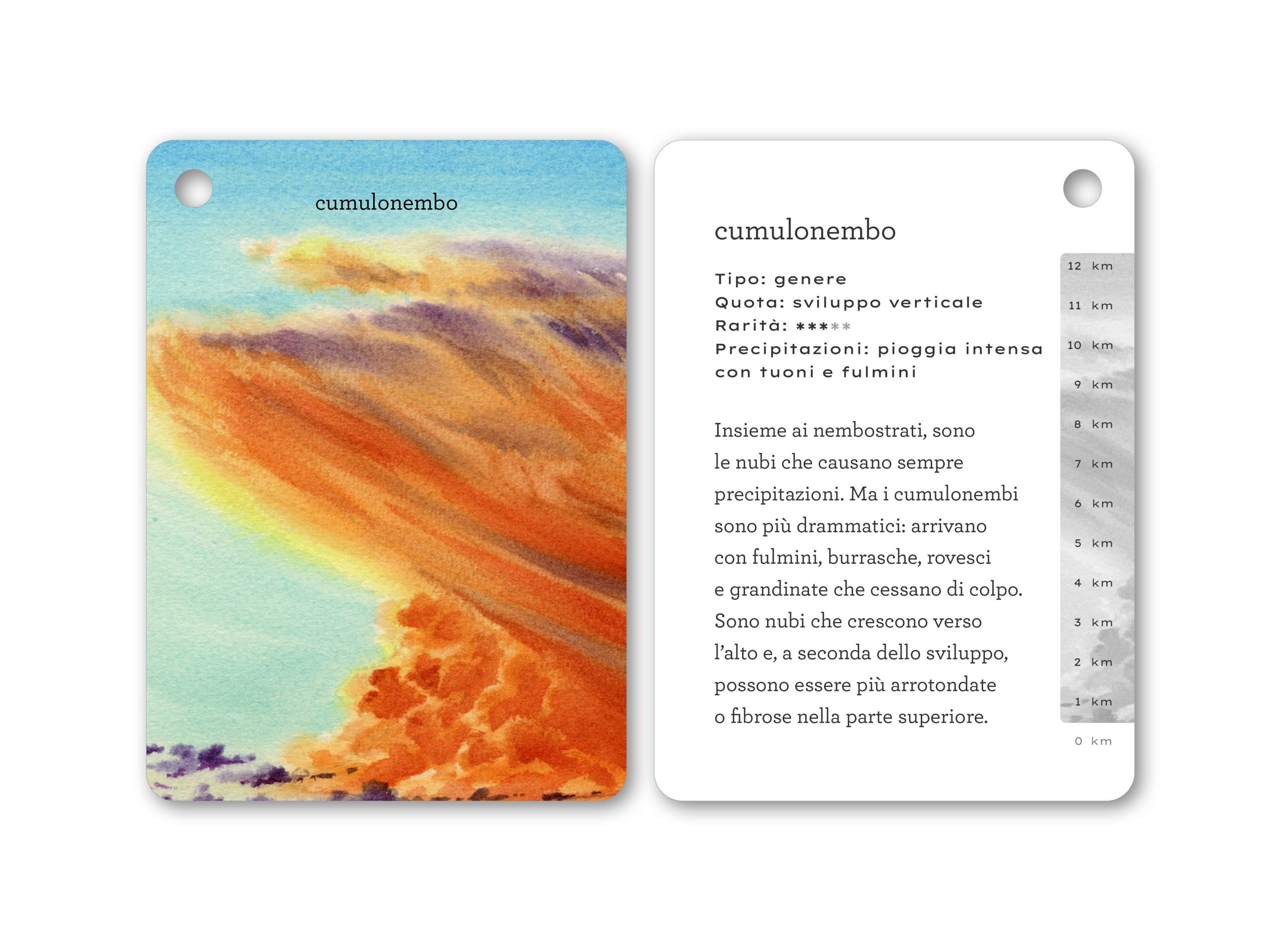 Terre di Mezzo Il mondo in tasca Le Nuvole schede 44 pp