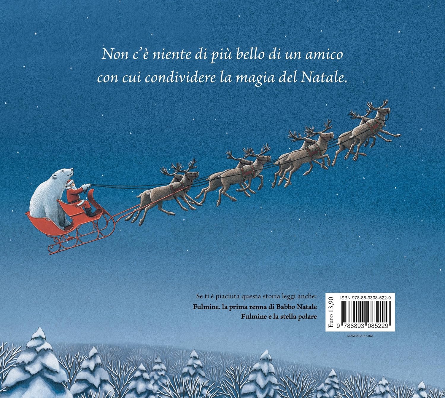 Nord-Sud Fulmine e l'orso bianco libro copertina rigida 3-6 anni