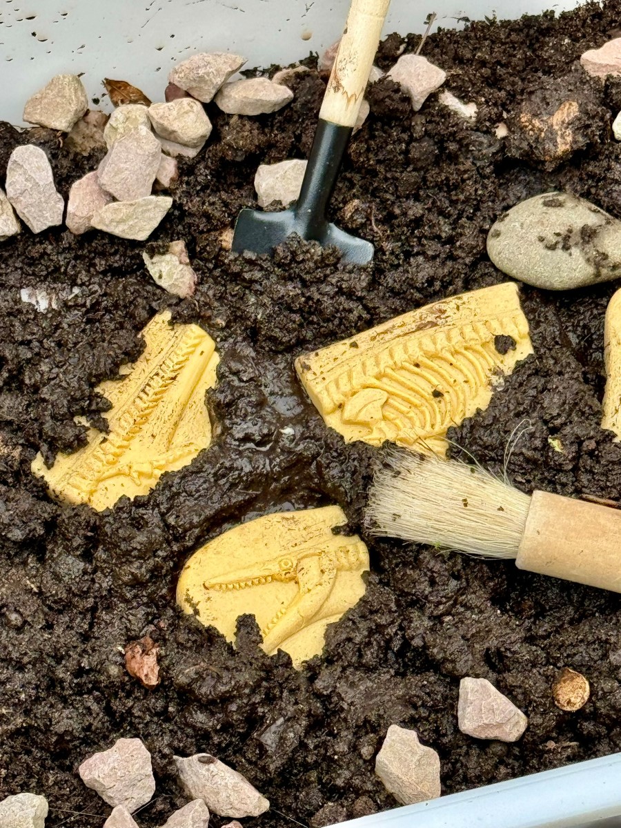 Yellow Door Trova i fossili puzzle Pliosauro Stegosauro