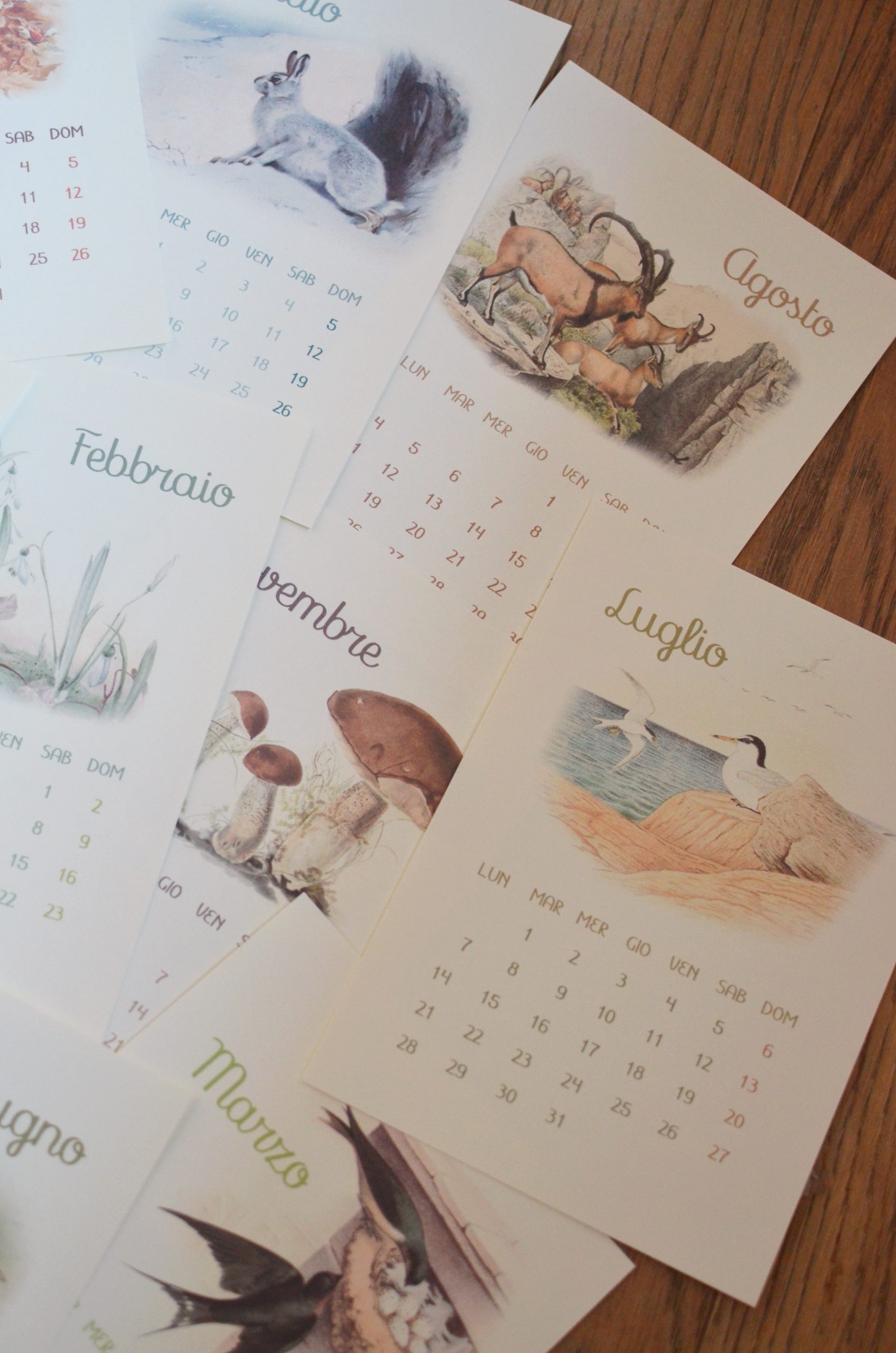 Baboo calendario 12 mesi 2025 PDF A4 da stampare 3 anni+