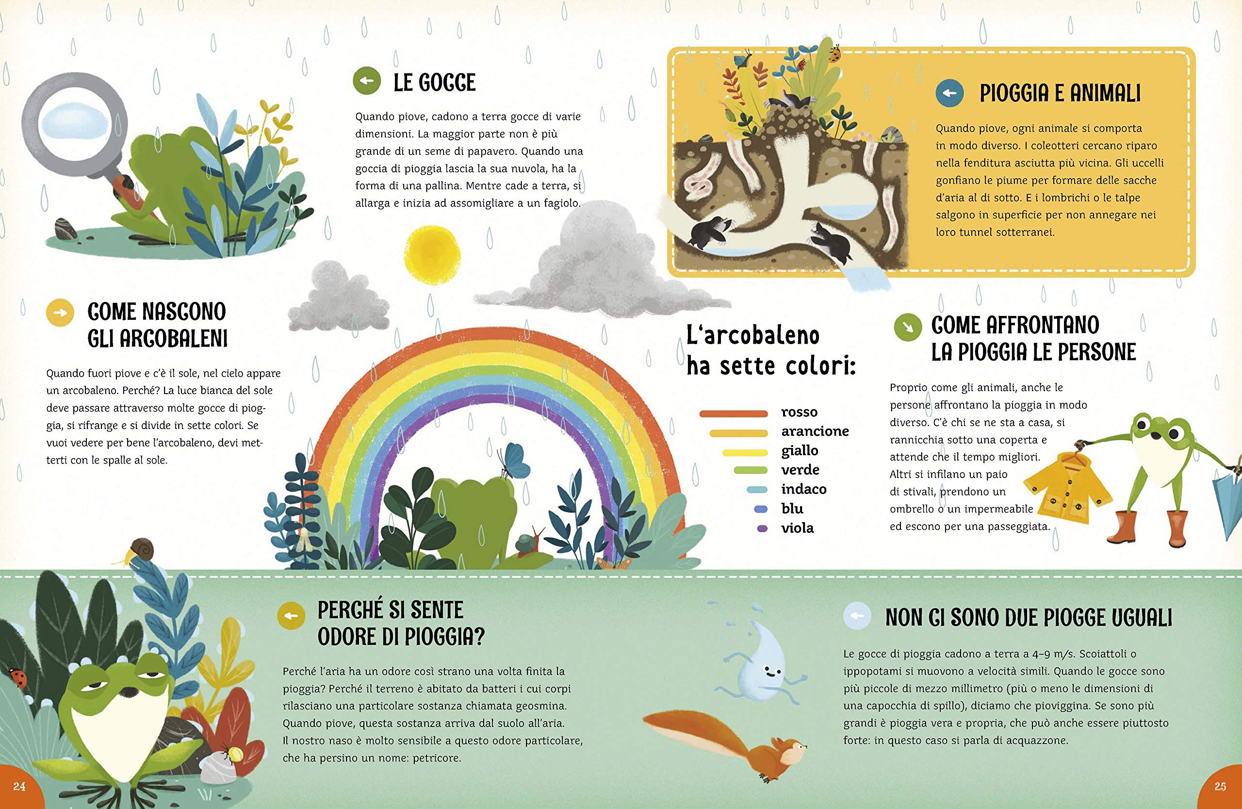 IdeeAli Che tempo! libro bambini 48 pagine