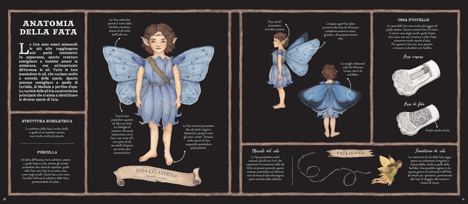 Elsie Arbour Enciclopedia delle fate libro illustrato dai 6 anni